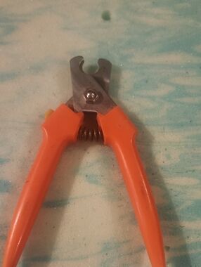 Orange Pet Nail Clippers